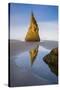 Pinnacle Reflection - Vertical-Michael Blanchette Photography-Stretched Canvas