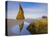 Pinnacle Reflection-Michael Blanchette Photography-Stretched Canvas