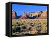 Pinnacles and Buttes in Valley of the Gods, Monument Valley, Utah, USA-Bernard Friel-Framed Stretched Canvas