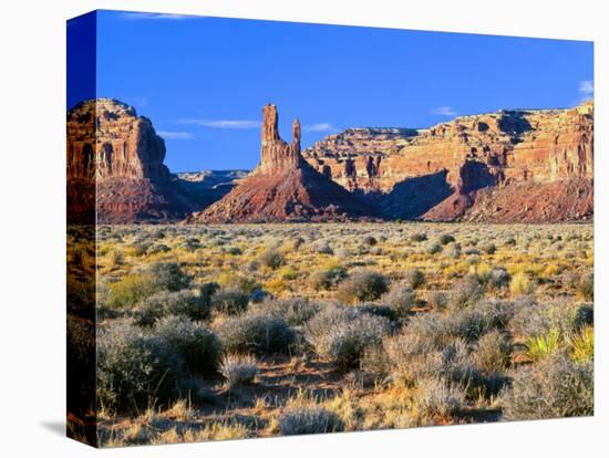 Pinnacles and Buttes in Valley of the Gods, Monument Valley, Utah, USA-Bernard Friel-Stretched Canvas