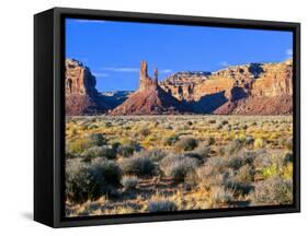 Pinnacles and Buttes in Valley of the Gods, Monument Valley, Utah, USA-Bernard Friel-Framed Stretched Canvas