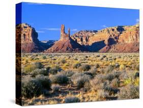 Pinnacles and Buttes in Valley of the Gods, Monument Valley, Utah, USA-Bernard Friel-Stretched Canvas