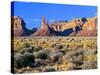 Pinnacles and Buttes in Valley of the Gods, Monument Valley, Utah, USA-Bernard Friel-Stretched Canvas