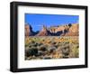 Pinnacles and Buttes in Valley of the Gods, Monument Valley, Utah, USA-Bernard Friel-Framed Photographic Print