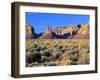 Pinnacles and Buttes in Valley of the Gods, Monument Valley, Utah, USA-Bernard Friel-Framed Photographic Print