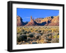 Pinnacles and Buttes in Valley of the Gods, Monument Valley, Utah, USA-Bernard Friel-Framed Photographic Print