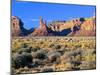 Pinnacles and Buttes in Valley of the Gods, Monument Valley, Utah, USA-Bernard Friel-Mounted Photographic Print