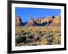 Pinnacles and Buttes in Valley of the Gods, Monument Valley, Utah, USA-Bernard Friel-Framed Photographic Print