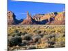 Pinnacles and Buttes in Valley of the Gods, Monument Valley, Utah, USA-Bernard Friel-Mounted Photographic Print