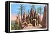 Pinnacles, Black Hills, South Dakota-null-Framed Stretched Canvas