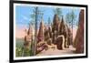 Pinnacles, Black Hills, South Dakota-null-Framed Art Print