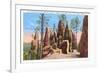 Pinnacles, Black Hills, South Dakota-null-Framed Premium Giclee Print