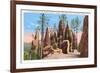 Pinnacles, Black Hills, South Dakota-null-Framed Premium Giclee Print