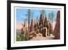 Pinnacles, Black Hills, South Dakota-null-Framed Premium Giclee Print