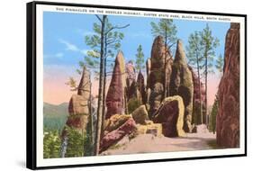 Pinnacles, Black Hills, South Dakota-null-Framed Stretched Canvas