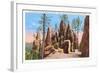 Pinnacles, Black Hills, South Dakota-null-Framed Art Print