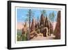 Pinnacles, Black Hills, South Dakota-null-Framed Art Print