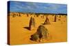 Pinnacles Desert, Australia-demerzel21-Stretched Canvas