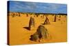 Pinnacles Desert, Australia-demerzel21-Stretched Canvas