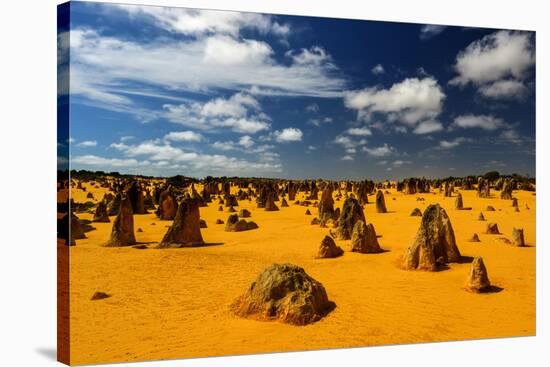 Pinnacles Desert, Australia-demerzel21-Stretched Canvas
