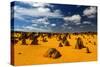 Pinnacles Desert, Australia-demerzel21-Stretched Canvas