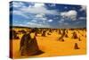 Pinnacles Desert, Australia-demerzel21-Stretched Canvas