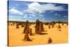 Pinnacles Desert, Australia-demerzel21-Stretched Canvas