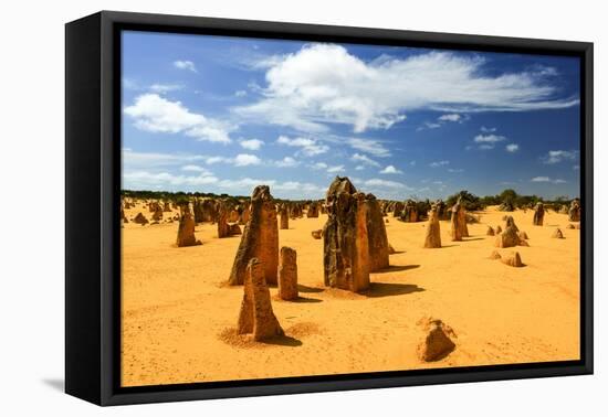 Pinnacles Desert, Australia-demerzel21-Framed Stretched Canvas