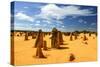 Pinnacles Desert, Australia-demerzel21-Stretched Canvas