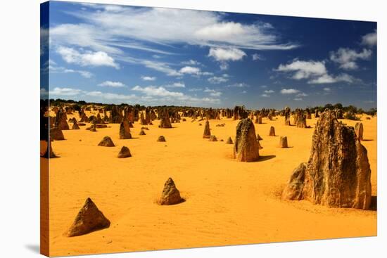 Pinnacles Desert, Australia-demerzel21-Stretched Canvas