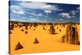 Pinnacles Desert, Australia-demerzel21-Stretched Canvas