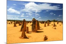 Pinnacles Desert, Australia-demerzel21-Mounted Photographic Print