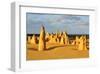 Pinnacles Desert W. Australia-null-Framed Art Print