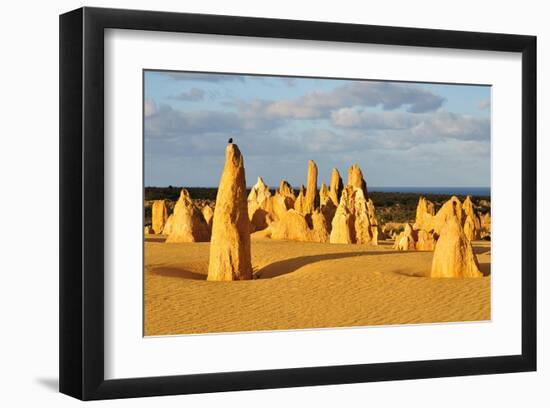 Pinnacles Desert W. Australia-null-Framed Art Print