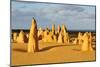 Pinnacles Desert W. Australia-null-Mounted Art Print