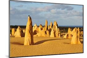 Pinnacles Desert W. Australia-null-Mounted Art Print