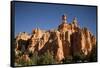 Pinnacles in Moonlight at Dixie National Forest in Utah-Paul Souders-Framed Stretched Canvas