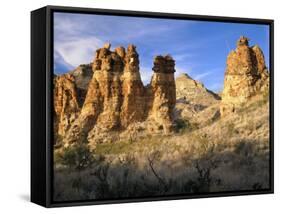 Pinnacles in Red Canyon, Big Bend National Park, Texas, USA-Scott T. Smith-Framed Stretched Canvas