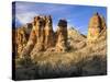 Pinnacles in Red Canyon, Big Bend National Park, Texas, USA-Scott T. Smith-Stretched Canvas