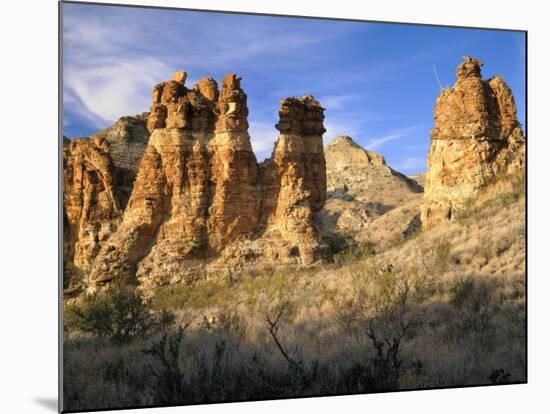 Pinnacles in Red Canyon, Big Bend National Park, Texas, USA-Scott T. Smith-Mounted Photographic Print