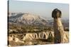 Pinnacles of Volcanic Ash, Urgup, Cappadocia, Anatolia, Turkey Minor, Eurasia-Tony Waltham-Stretched Canvas