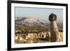 Pinnacles of Volcanic Ash, Urgup, Cappadocia, Anatolia, Turkey Minor, Eurasia-Tony Waltham-Framed Photographic Print