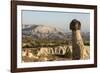 Pinnacles of Volcanic Ash, Urgup, Cappadocia, Anatolia, Turkey Minor, Eurasia-Tony Waltham-Framed Photographic Print