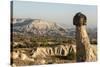 Pinnacles of Volcanic Ash, Urgup, Cappadocia, Anatolia, Turkey Minor, Eurasia-Tony Waltham-Stretched Canvas