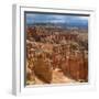 Pinnacles Viewed from Inspiration Point, in the Bryce Canyon National Park, Utah, USA-Tony Gervis-Framed Photographic Print