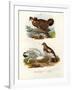 Pinnated Grouse, 1864-null-Framed Giclee Print