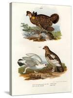 Pinnated Grouse, 1864-null-Stretched Canvas