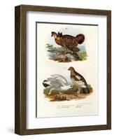 Pinnated Grouse, 1864-null-Framed Giclee Print