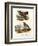 Pinnated Grouse, 1864-null-Framed Giclee Print