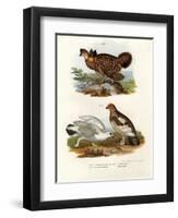 Pinnated Grouse, 1864-null-Framed Giclee Print